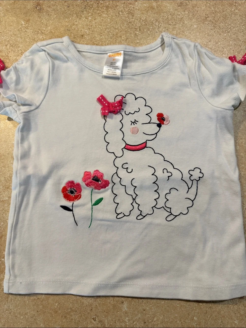 Gymboree Girls Multi-Color Short Sleeve Graphic Tees Bundle